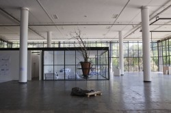 Pedro Ivo Trasferetti - Fundação Bienal de São Paulo
