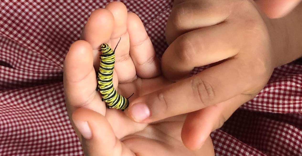 Captura de pantalla 2025-02-04 222521