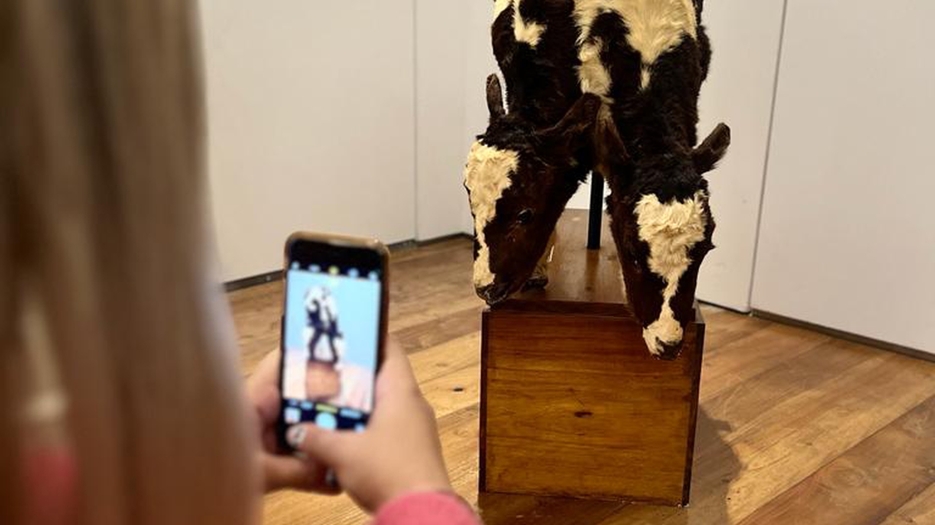 BBPE_machado-museu_PORTUGAL-IBERMUSEOS