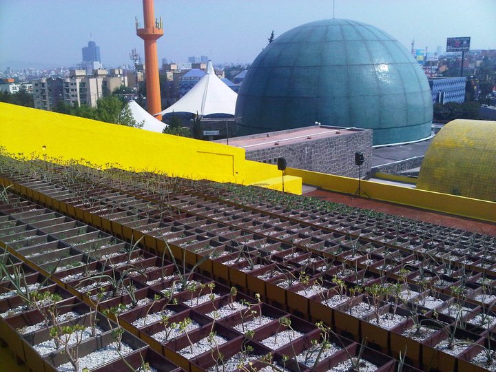 BBPE_ papalote-mexico-IBERMUSEOS