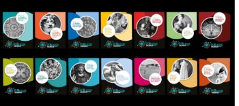 estudos de público PT