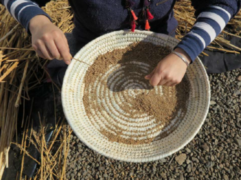 02_Chile_Museo Ruka Kimvn Tain Volil_03